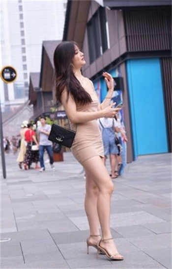 大象研究nc二十四小时