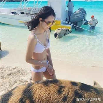 父亲猜女儿第一季视频
