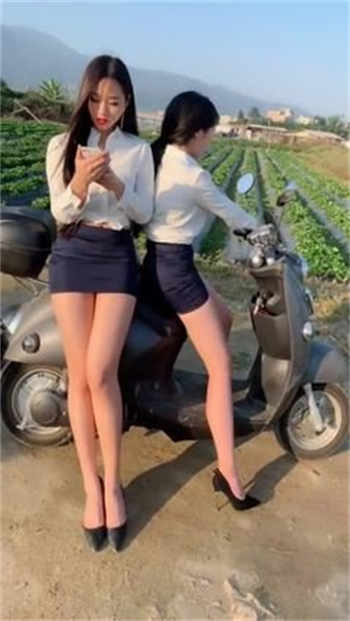 早乙女由依车牌号