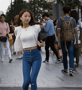 免播放器a 手机在线视频